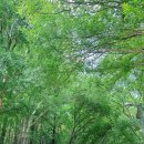 라시트포(LACITPO) | 성수동 부쉐론 콰트로 팝업부티크, 라시트포 LACITPO, 서울숲 산책