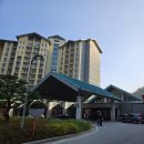 이리식당 | 곤지암리조트 디럭스 숙박 맛집 식당 스키장 후기