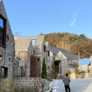 문장푸른마트 | 홍천 애견동반 펜션 반스힐, 감성 독채 풀빌라에서 테디베어와 함께한 힐링 여행