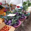 은행나무민박 이미지