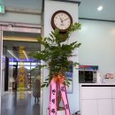 제이제이스크린골프 | 기안동 스크린골프 제이제이스크린골프 다녀왔어요!