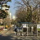 수내중학교 이미지