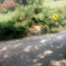 명천로,화암로 이미지