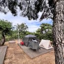 수련원야영장 | 용인청소년수련원 A구역 2025.9/13~14