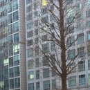 구터미널공영주차장 이미지