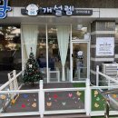 개설렘 | 청라 애견미용실 비숑 위생목욕+스파 후기 ‘개설렘’
