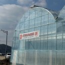 용내길 | 설 연휴 34개월 아기와 안성힐링팜에서 딸기 따기 체험하고 딸기 케이크 만들어요