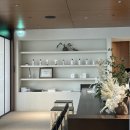 세빛약국 | 차홍룸 반포점 시세이도 프로페셔널 레드 염색 후기 및 추천