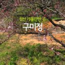 반딧불이황토펜션 네이버블로그