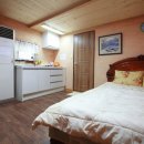 용인나무이야기 이미지