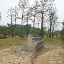 금산인삼골오토캠핑장 Daum카페