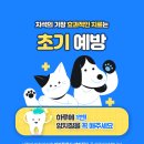 펫사랑 동물병원 이미지