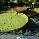 제이드 펜션 이미지