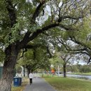 아웃오브스퀘어미술교습소 | 비오는날 멜버른 코스 - 빅토리아 국립 미술관, 세인트 폴 대성당, 빅토리아 주립 도서관