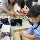 진주 호탄동 익룡ㆍ새ㆍ공룡발자국 화석산지 | 진주 충무공동 아이와 함께 가기 좋은 곳 익룡 발자국 전시관