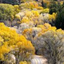 숲속풍경 이미지