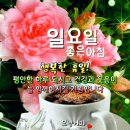필연