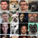 개벤져스 이미지