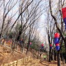 매봉산