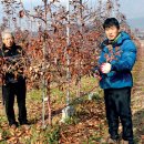 박대열 농장 네이버블로그