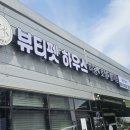 뷰티펫 하우스 이미지