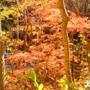 12선녀탕 이미지