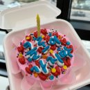 발발이추억 | 아기신입의 눈물