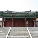 캠프나라