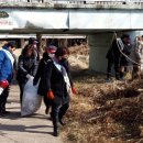 금빛환경 이미지