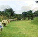 들꽃피는언덕 이미지