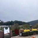 시고르펜션 | 경기도 광주 도심 속 촌캉스 서울 근교 시고르스테이 숙박 솔직후기