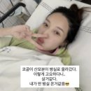 김민경 카카오 검색결과