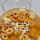 마이요거트립 이미지