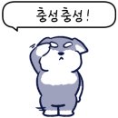 모모댕댕 이미지