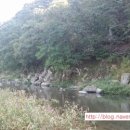 오크앨리 이미지