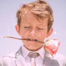 작은여우비 이미지