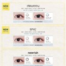 다비치안경 전주중앙로웨딩거리점 이미지