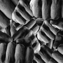 가오복싱클럽 이미지