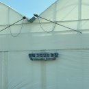 희망농장 | [평택 아이와 가볼만한곳] 주말 독박육아 탈출! 🍓 가치있는 농장 딸기수확 체험 후기