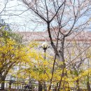 동백요양병원 이미지