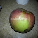 수현농원 이미지