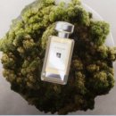 컴퓨터 완전 기초 이미지