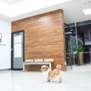 24시스마트동물메디컬센터 이미지