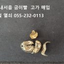 내서읍1082 이미지