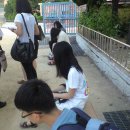 괘법초등학교 이미지