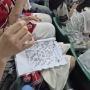 2025 야구 기록⚾️