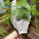 감계 사우나 | [일상]말하기도 입아프지만 나는 다이어터다ㅋ