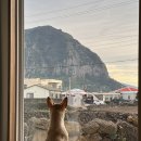 시고르하우스 이미지