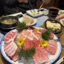 야나기참치 이미지