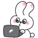 그루밍애견미용 이미지